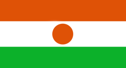 Flag of Niger By Viktorcvetkovic