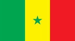 National Flag of Senegal By teresinagoiafoto