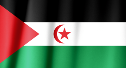 Sahrawi Arab Democratic Republic flag waving on wind. By Oleksii Hulak